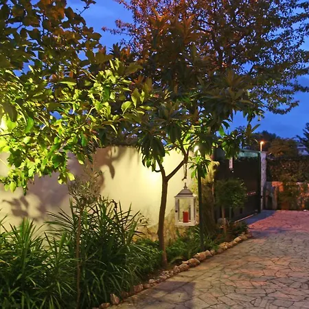 Fiumicino Airport B&B Deluxe-2