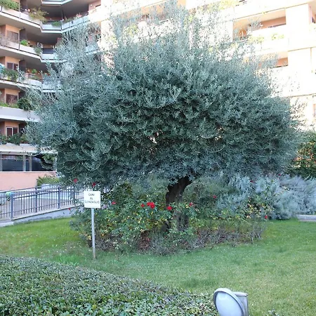 B&B le Pleiadi Aeroporto Fiumicino-2